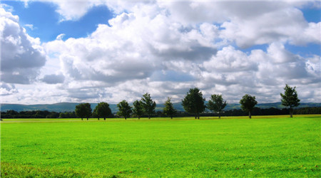 愛(ài)爾蘭景色